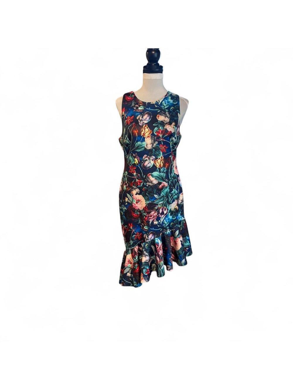 Alexa Admor Floral Dress with Ruffle Hem Size 6